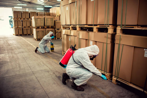 Best Bed Bug Extermination  in Prosperity, SC
