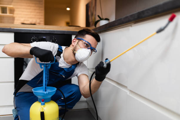 Best Local Pest Control Services  in Prosperity, SC