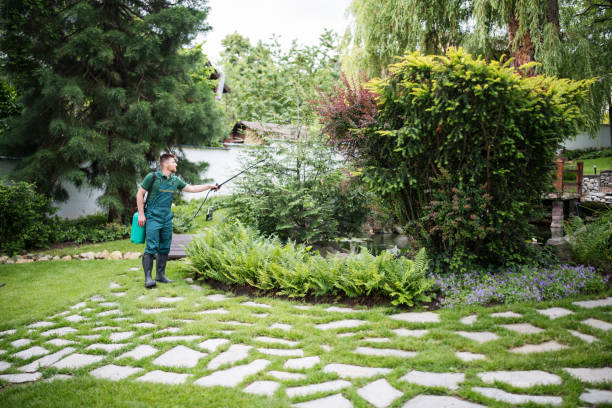 Best Ant Control Services  in Prosperity, SC