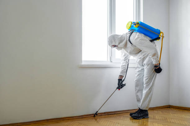 Trusted Prosperity, SC Pest Control Experts