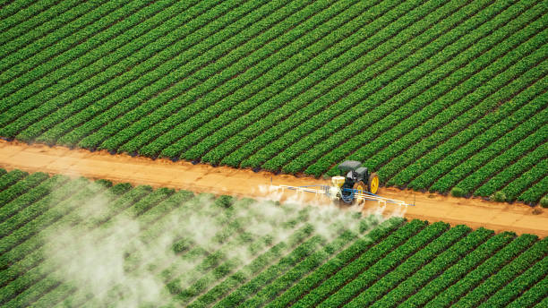 Best Exterminator Services  in Prosperity, SC