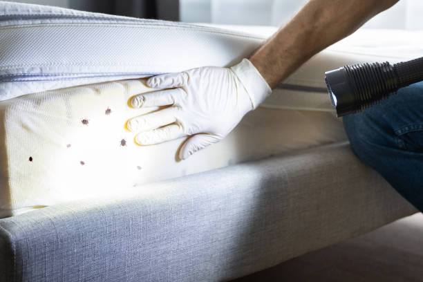 Best Emergency Pest Control  in Prosperity, SC