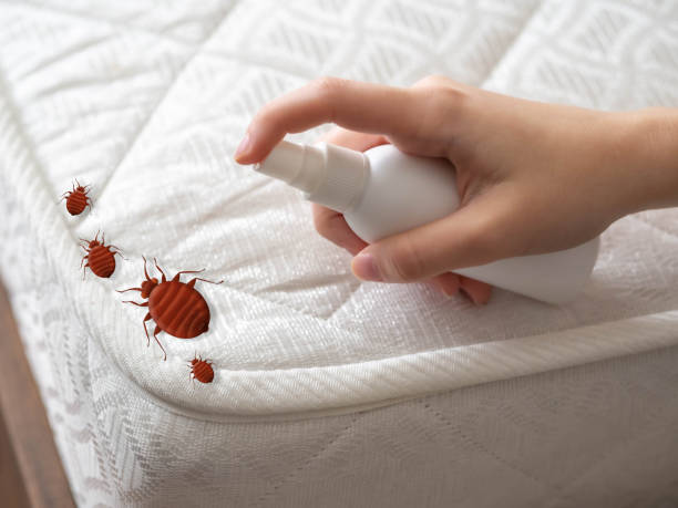 Prosperity, SC Pest Control Company