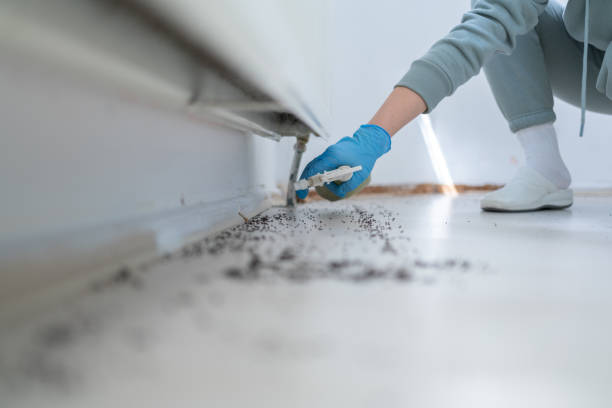 Best Residential Pest Control  in Prosperity, SC
