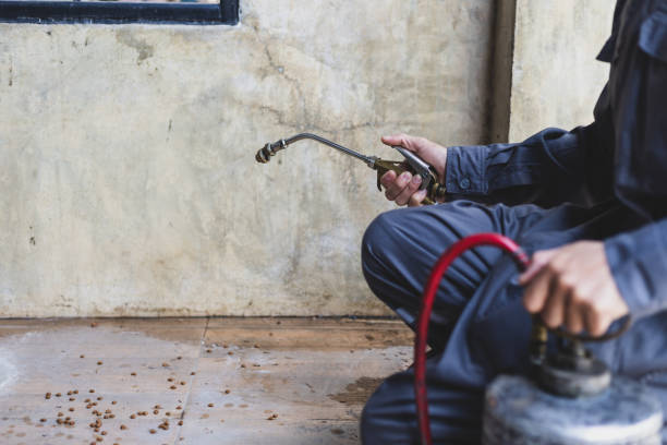 Best Affordable Pest Control Services  in Prosperity, SC